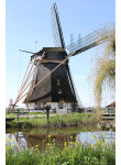 Abcoude - Oostzijdse Molen 02