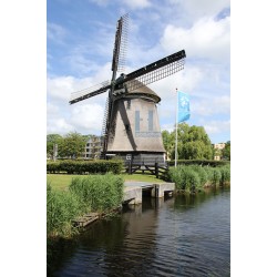 Alkmaar - Geestmolen 02