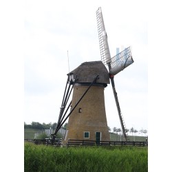 Barendrecht - Pendrechtse Molen 01