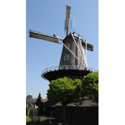 Beneden-Leeuwen - De Wielewaal 03