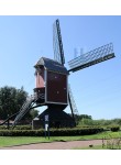 Beegden - Sint Lindertmolen 03