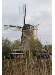 Colijnsplaat - De Nieuwe Molen 03