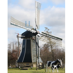 Damwoude - Marmeermin 01