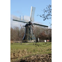 Damwoude - Marmeermin 02