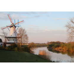 Deil - De Vlinder 01
