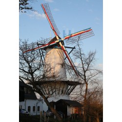 Deil - De Vlinder 02
