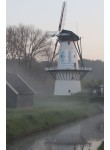Deil - De Vlinder 03