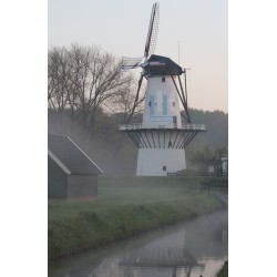 Deil - De Vlinder 03
