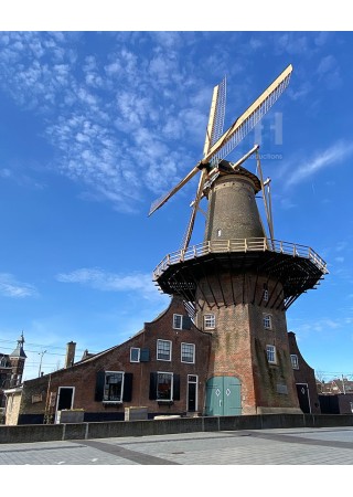Delft - De Roos 03