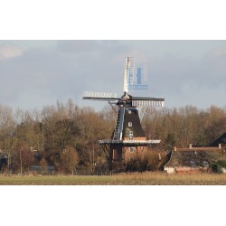 Den Andel - De Jonge Hendrik 02