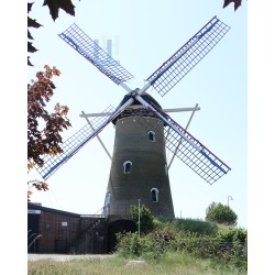 Den Hout - De Hoop 03