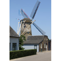 Den Hout - De Hoop 01