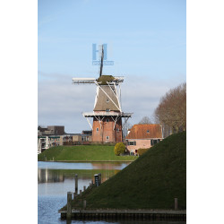 Dokkum - Zeldenrust 01