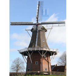 Dokkum - Zeldenrust 03