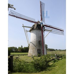 Ellemeet - 't Hert 02