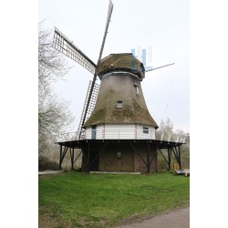 Emmen - De Berk 01