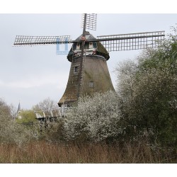 Emmen - De Berk 03