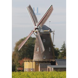 Gapinge - De Graanhalm 02