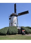 Halsteren - Sint Antonius 03