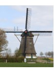 Hank - Zuidhollandse Molen 01
