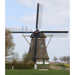 Hank - Zuidhollandse Molen 01