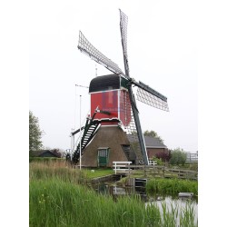 Hazerswoude-Dorp - De Rooie Wip 02