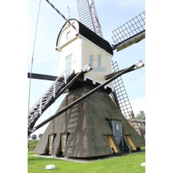 Hazerswoude-Rijndijk - Groenendijkse Molen 03