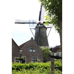 IJsselstein - De Windotter 01