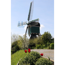 Kockengen - Kockengense Molen 01
