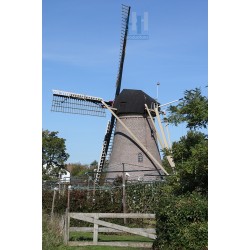 Krabbendijke - De Rozeboom 03