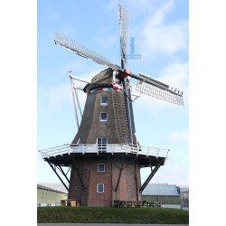 Metslawier - Ropta 01