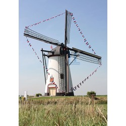 Meeuwen - Witte molen