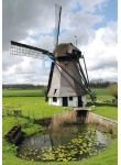Werkendam - Vervoornemolen 01