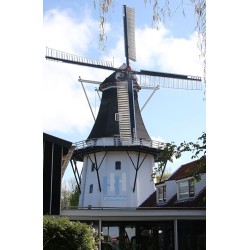 Noorderhoogerbrug - De Wilhelmina 01
