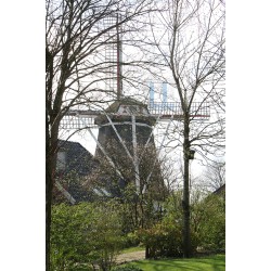 Noordsleen - Albertdina 03