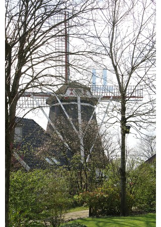 Noordsleen - Albertdina 03