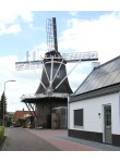 Ommen - De Lelie 01