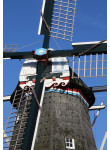 Pieterburen - De Vier Winden 02