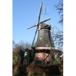 Pieterburen - De Vier Winden 03
