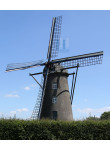 Roggel - Sint Petrusmolen 03