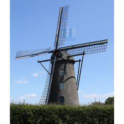 Roggel - Sint Petrusmolen 03
