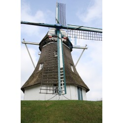 Weerdinge - De Hondsrug 02