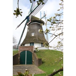 Weerdinge - De Hondsrug 03
