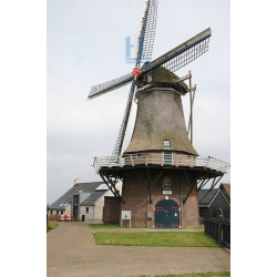 Zuidbarge - Zeldenrust 02