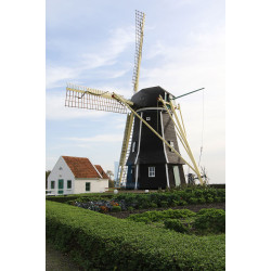Aagtekerke - Aagtekerkse Molen 01
