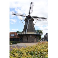 Dalfsen - Westermolen 01