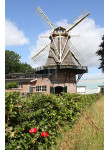 Oldebroek - Molen De Hoop 01