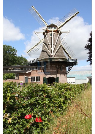 Oldebroek - Molen De Hoop 01
