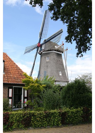Ommen - Molen Den Oord 01