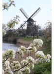 Beesd - De Vrijheid 02